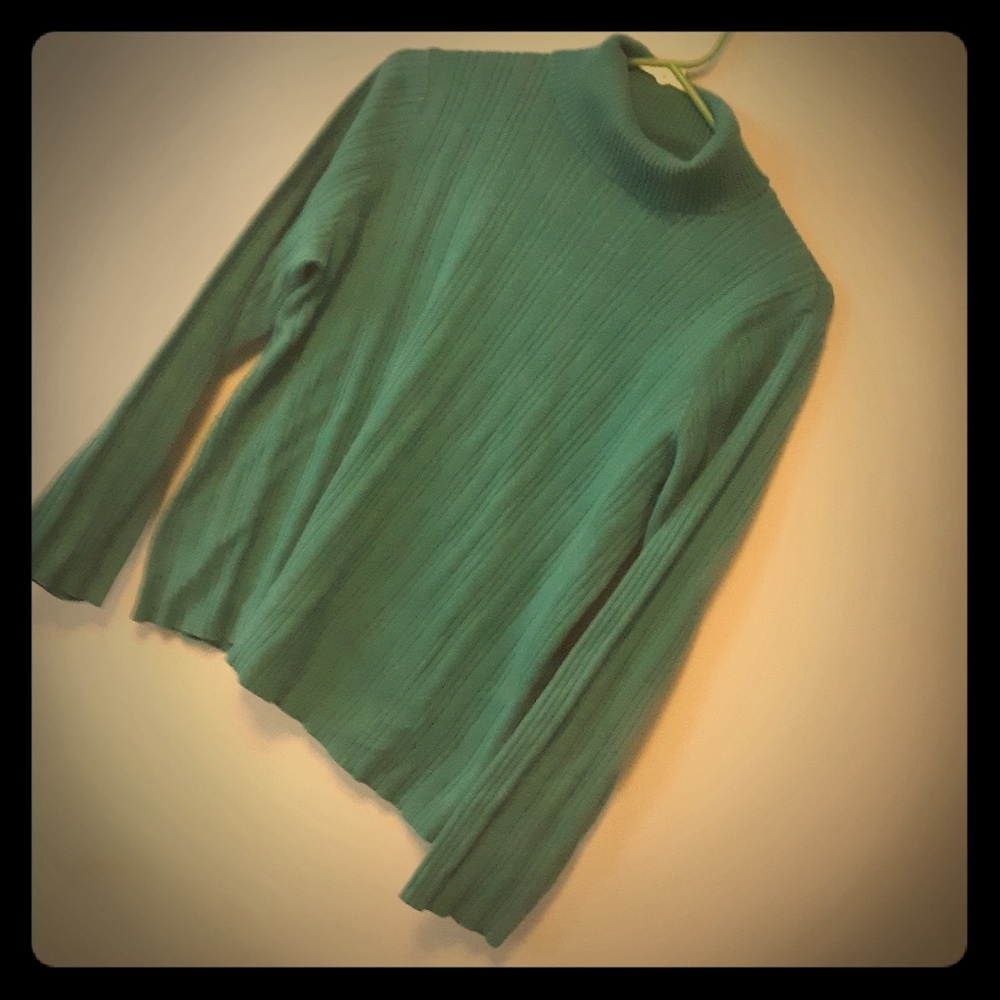 Karen Scott Petite Medium Turtle Neck Sweater